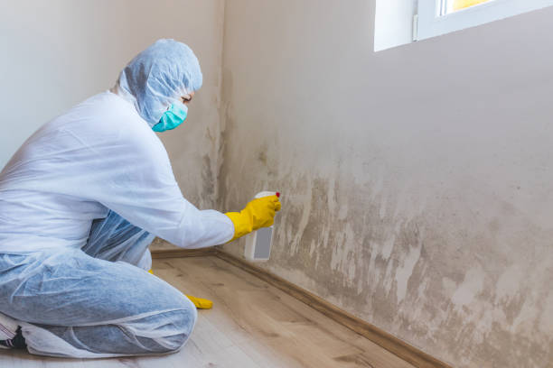 Licensed Crawl Space Mold Removal service in Rixeyville, VA - WQB Mold Removal
