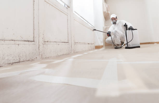 24/7 Emergency Crawl Space Mold Removal experts in Rixeyville, VA