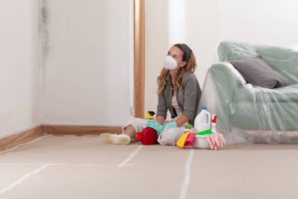 Reliable Crawl Space Mold Removal contractor in Rixeyville, VA by WQB Mold Removal