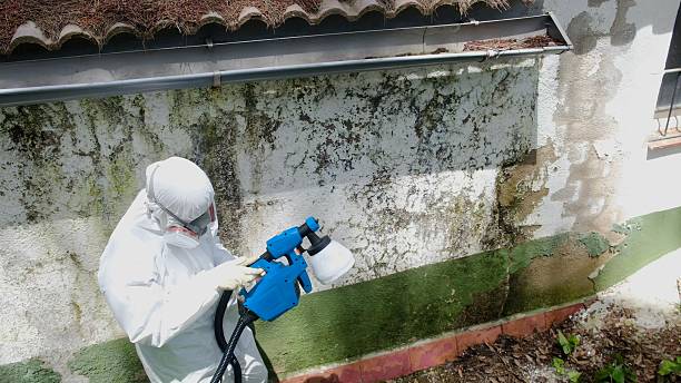 Top rated local Crawl Space Mold Removal specialists in Rixeyville, VA